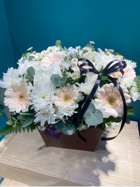 Condolences 02
