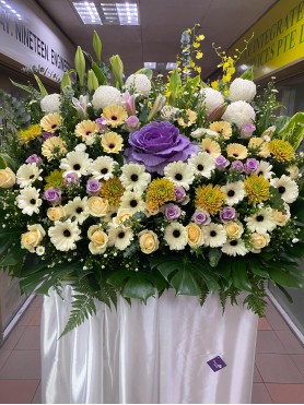 Condolences 28