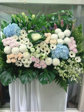 Condolences 29