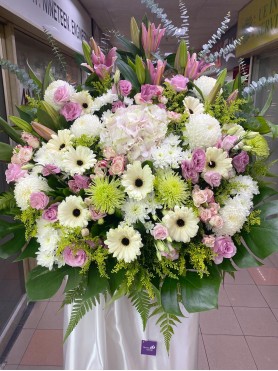 Condolences 24