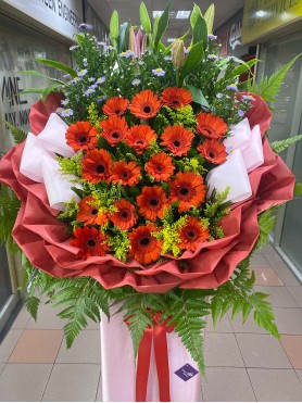 Congratulatory 06