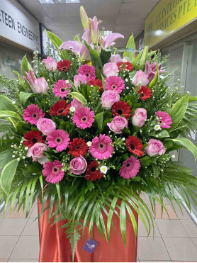 Congratulatory 12