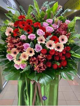 Congratulatory 21