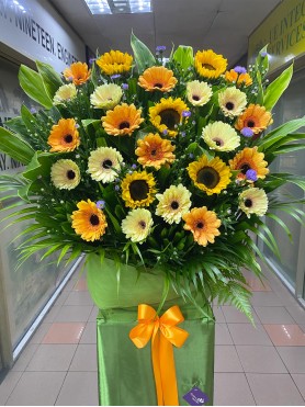Congratulatory 05