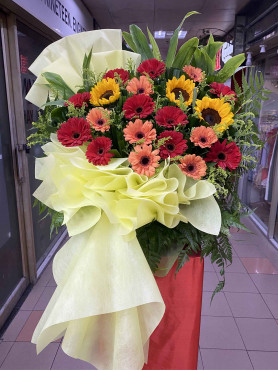 Congratulatory 01