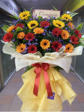 Congratulatory 07
