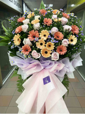 Congratulatory 10