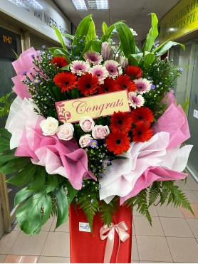 Congratulatory 09