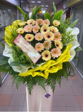 Congratulatory 02
