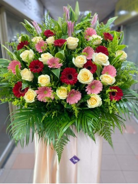 Congratulatory 13