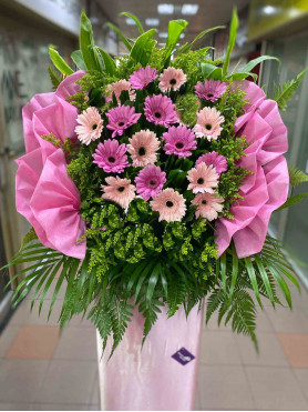 Congratulatory 03